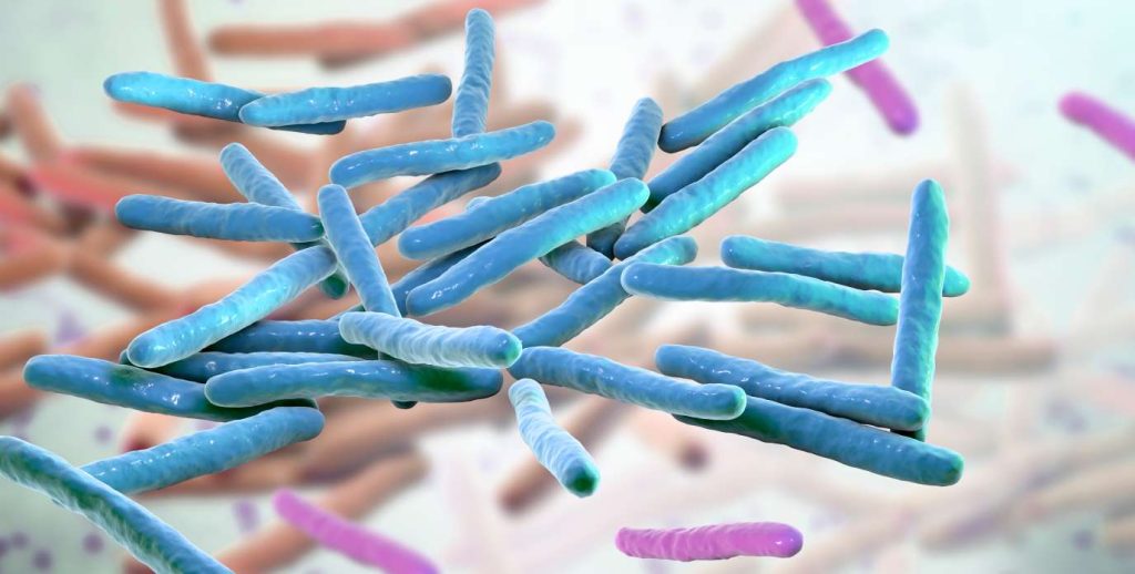 3D rendering of _Mycobacterium leprae_ bacteria, the causative agent of leprosy, depicted in vibrant colors.